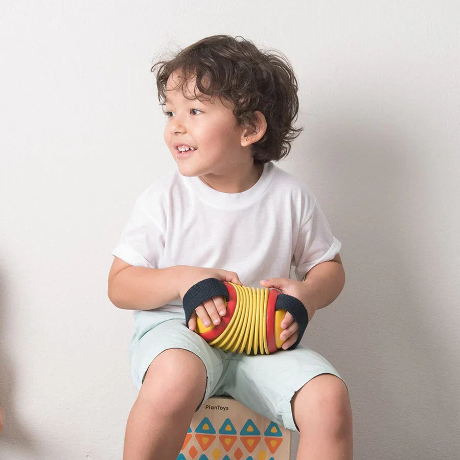 Wooden Musical Concertina Toy
