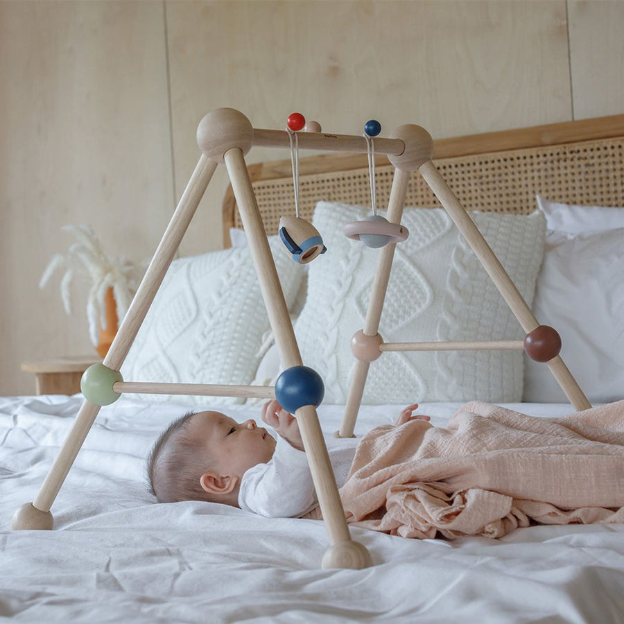 Baby Gym - Orchard